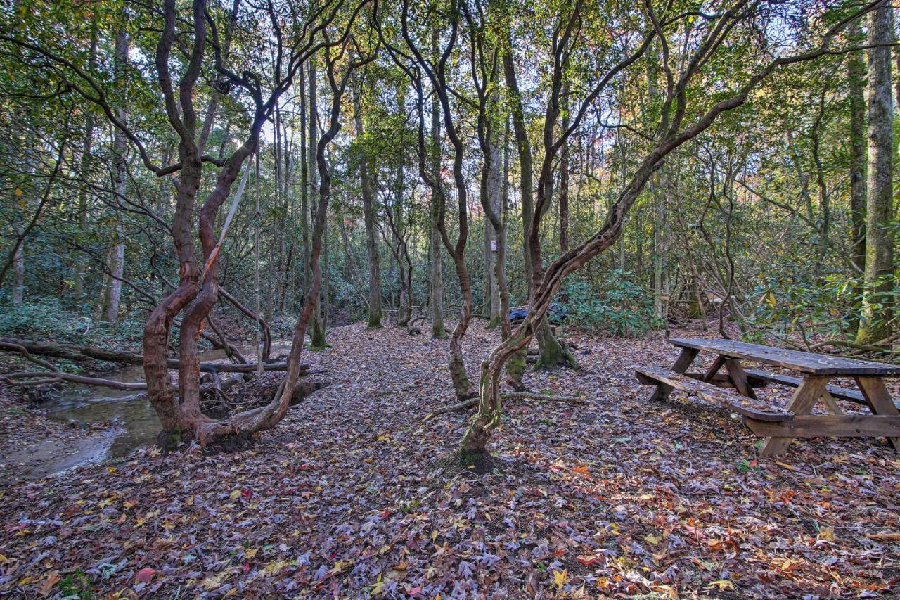 5-Acre North Georgia Mountain Retreat With Creek! Villa Sautee Nacoochee Dış mekan fotoğraf
